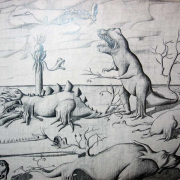 Extinction of the dinosaurs